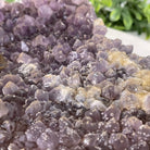 20" Tall Sodalite Gemstone Tree on an Amethyst base, 540 gems #5406SO-005 - Brazil GemsBrazil Gems20" Tall Sodalite Gemstone Tree on an Amethyst base, 540 gems #5406SO-005Gemstone Trees5406SO-005