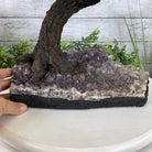 20" Tall Sodalite Gemstone Tree on an Amethyst base, 540 gems #5406SO-005 - Brazil GemsBrazil Gems20" Tall Sodalite Gemstone Tree on an Amethyst base, 540 gems #5406SO-005Gemstone Trees5406SO-005