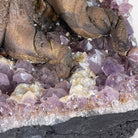 20" Tall Sodalite Gemstone Tree on an Amethyst base, 540 gems #5406SO-005 - Brazil GemsBrazil Gems20" Tall Sodalite Gemstone Tree on an Amethyst base, 540 gems #5406SO-005Gemstone Trees5406SO-005