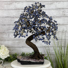 20" Tall Sodalite Gemstone Tree on an Amethyst base, 540 gems #5406SO-005 - Brazil GemsBrazil Gems20" Tall Sodalite Gemstone Tree on an Amethyst base, 540 gems #5406SO-005Gemstone Trees5406SO-005