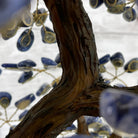 20" Tall Sodalite Gemstone Tree on an Amethyst base, 540 gems #5406SO-005 - Brazil GemsBrazil Gems20" Tall Sodalite Gemstone Tree on an Amethyst base, 540 gems #5406SO-005Gemstone Trees5406SO-005