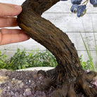 20" Tall Sodalite Gemstone Tree on an Amethyst base, 540 gems #5406SO-005 - Brazil GemsBrazil Gems20" Tall Sodalite Gemstone Tree on an Amethyst base, 540 gems #5406SO-005Gemstone Trees5406SO-005