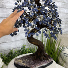 20" Tall Sodalite Gemstone Tree on an Amethyst base, 540 gems #5406SO-005 - Brazil GemsBrazil Gems20" Tall Sodalite Gemstone Tree on an Amethyst base, 540 gems #5406SO-005Gemstone Trees5406SO-005