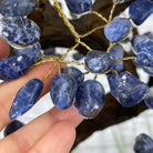 20" Tall Sodalite Gemstone Tree on an Amethyst base, 540 gems #5406SO-005 - Brazil GemsBrazil Gems20" Tall Sodalite Gemstone Tree on an Amethyst base, 540 gems #5406SO-005Gemstone Trees5406SO-005