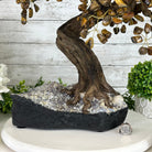 20" Tall Tiger's Eye Gemstone Tree on an Amethyst base, 540 gems #5406TE-001 - Brazil GemsBrazil Gems20" Tall Tiger's Eye Gemstone Tree on an Amethyst base, 540 gems #5406TE-001Gemstone Trees5406TE-001