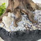 20" Tall Tiger's Eye Gemstone Tree on an Amethyst base, 540 gems #5406TE-001 - Brazil GemsBrazil Gems20" Tall Tiger's Eye Gemstone Tree on an Amethyst base, 540 gems #5406TE-001Gemstone Trees5406TE-001