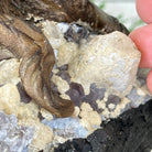 20" Tall Tiger's Eye Gemstone Tree on an Amethyst base, 540 gems #5406TE-001 - Brazil GemsBrazil Gems20" Tall Tiger's Eye Gemstone Tree on an Amethyst base, 540 gems #5406TE-001Gemstone Trees5406TE-001