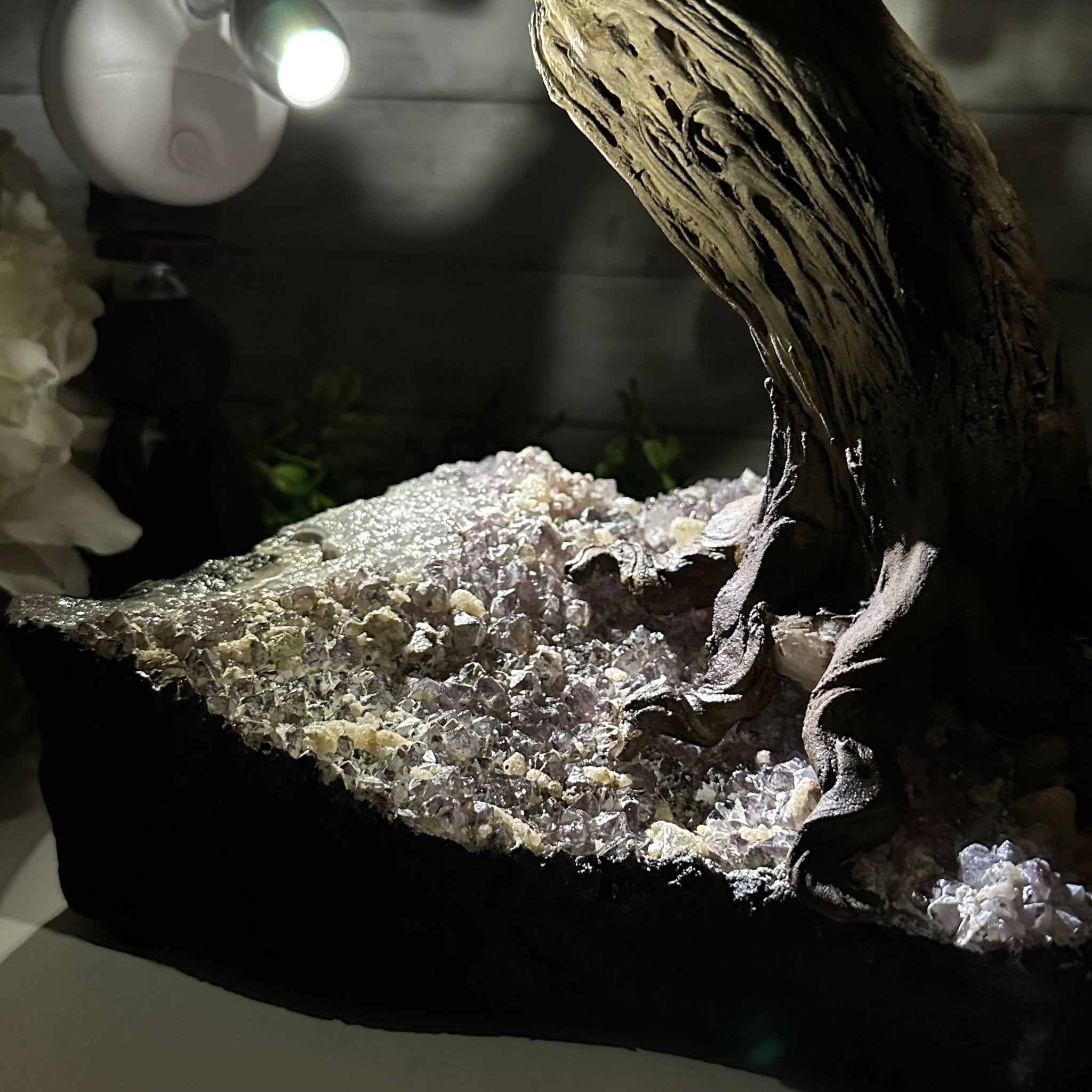 20" Tall Tiger's Eye Gemstone Tree on an Amethyst base, 540 gems #5406TE-001 - Brazil GemsBrazil Gems20" Tall Tiger's Eye Gemstone Tree on an Amethyst base, 540 gems #5406TE-001Gemstone Trees5406TE-001