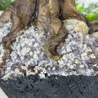 20" Tall Tiger's Eye Gemstone Tree on an Amethyst base, 540 gems #5406TE-001 - Brazil GemsBrazil Gems20" Tall Tiger's Eye Gemstone Tree on an Amethyst base, 540 gems #5406TE-001Gemstone Trees5406TE-001