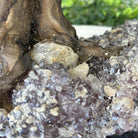 20" Tall Tiger's Eye Gemstone Tree on an Amethyst base, 540 gems #5406TE-001 - Brazil GemsBrazil Gems20" Tall Tiger's Eye Gemstone Tree on an Amethyst base, 540 gems #5406TE-001Gemstone Trees5406TE-001