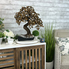 20" Tall Tiger's Eye Gemstone Tree on an Amethyst base, 540 gems #5406TE-001 - Brazil GemsBrazil Gems20" Tall Tiger's Eye Gemstone Tree on an Amethyst base, 540 gems #5406TE-001Gemstone Trees5406TE-001