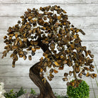 20" Tall Tiger's Eye Gemstone Tree on an Amethyst base, 540 gems #5406TE-001 - Brazil GemsBrazil Gems20" Tall Tiger's Eye Gemstone Tree on an Amethyst base, 540 gems #5406TE-001Gemstone Trees5406TE-001