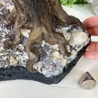 20" Tall Tiger's Eye Gemstone Tree on an Amethyst base, 540 gems #5406TE-001 - Brazil GemsBrazil Gems20" Tall Tiger's Eye Gemstone Tree on an Amethyst base, 540 gems #5406TE-001Gemstone Trees5406TE-001