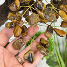 20" Tall Tiger's Eye Gemstone Tree on an Amethyst base, 540 gems #5406TE-001 - Brazil GemsBrazil Gems20" Tall Tiger's Eye Gemstone Tree on an Amethyst base, 540 gems #5406TE-001Gemstone Trees5406TE-001