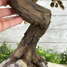 20" Tall Tiger's Eye Gemstone Tree on an Amethyst base, 540 gems #5406TE-001 - Brazil GemsBrazil Gems20" Tall Tiger's Eye Gemstone Tree on an Amethyst base, 540 gems #5406TE-001Gemstone Trees5406TE-001