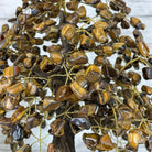 20" Tall Tiger's Eye Gemstone Tree on an Amethyst base, 540 gems #5406TE-001 - Brazil GemsBrazil Gems20" Tall Tiger's Eye Gemstone Tree on an Amethyst base, 540 gems #5406TE-001Gemstone Trees5406TE-001