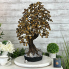 20" Tall Tiger's Eye Gemstone Tree on an Amethyst base, 540 gems #5406TE-001 - Brazil GemsBrazil Gems20" Tall Tiger's Eye Gemstone Tree on an Amethyst base, 540 gems #5406TE-001Gemstone Trees5406TE-001