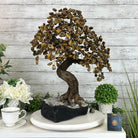 20" Tall Tiger's Eye Gemstone Tree on an Amethyst base, 540 gems #5406TE-001 - Brazil GemsBrazil Gems20" Tall Tiger's Eye Gemstone Tree on an Amethyst base, 540 gems #5406TE-001Gemstone Trees5406TE-001