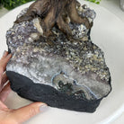 20" Tall Tiger's Eye Gemstone Tree on an Amethyst base, 540 gems #5406TE-001 - Brazil GemsBrazil Gems20" Tall Tiger's Eye Gemstone Tree on an Amethyst base, 540 gems #5406TE-001Gemstone Trees5406TE-001