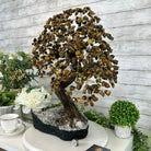 20" Tall Tiger's Eye Gemstone Tree on an Amethyst base, 540 gems #5406TE-001 - Brazil GemsBrazil Gems20" Tall Tiger's Eye Gemstone Tree on an Amethyst base, 540 gems #5406TE-001Gemstone Trees5406TE-001