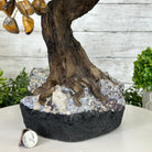 20" Tall Tiger's Eye Gemstone Tree on an Amethyst base, 540 gems #5406TE-001 - Brazil GemsBrazil Gems20" Tall Tiger's Eye Gemstone Tree on an Amethyst base, 540 gems #5406TE-001Gemstone Trees5406TE-001