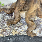 20" Tall Tiger's Eye Gemstone Tree on an Amethyst base, 540 gems #5406TE-001 - Brazil GemsBrazil Gems20" Tall Tiger's Eye Gemstone Tree on an Amethyst base, 540 gems #5406TE-001Gemstone Trees5406TE-001