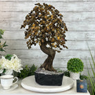 20" Tall Tiger's Eye Gemstone Tree on an Amethyst base, 540 gems #5406TE-001 - Brazil GemsBrazil Gems20" Tall Tiger's Eye Gemstone Tree on an Amethyst base, 540 gems #5406TE-001Gemstone Trees5406TE-001