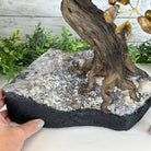 20" Tall Tiger's Eye Gemstone Tree on an Amethyst base, 540 gems #5406TE-001 - Brazil GemsBrazil Gems20" Tall Tiger's Eye Gemstone Tree on an Amethyst base, 540 gems #5406TE-001Gemstone Trees5406TE-001