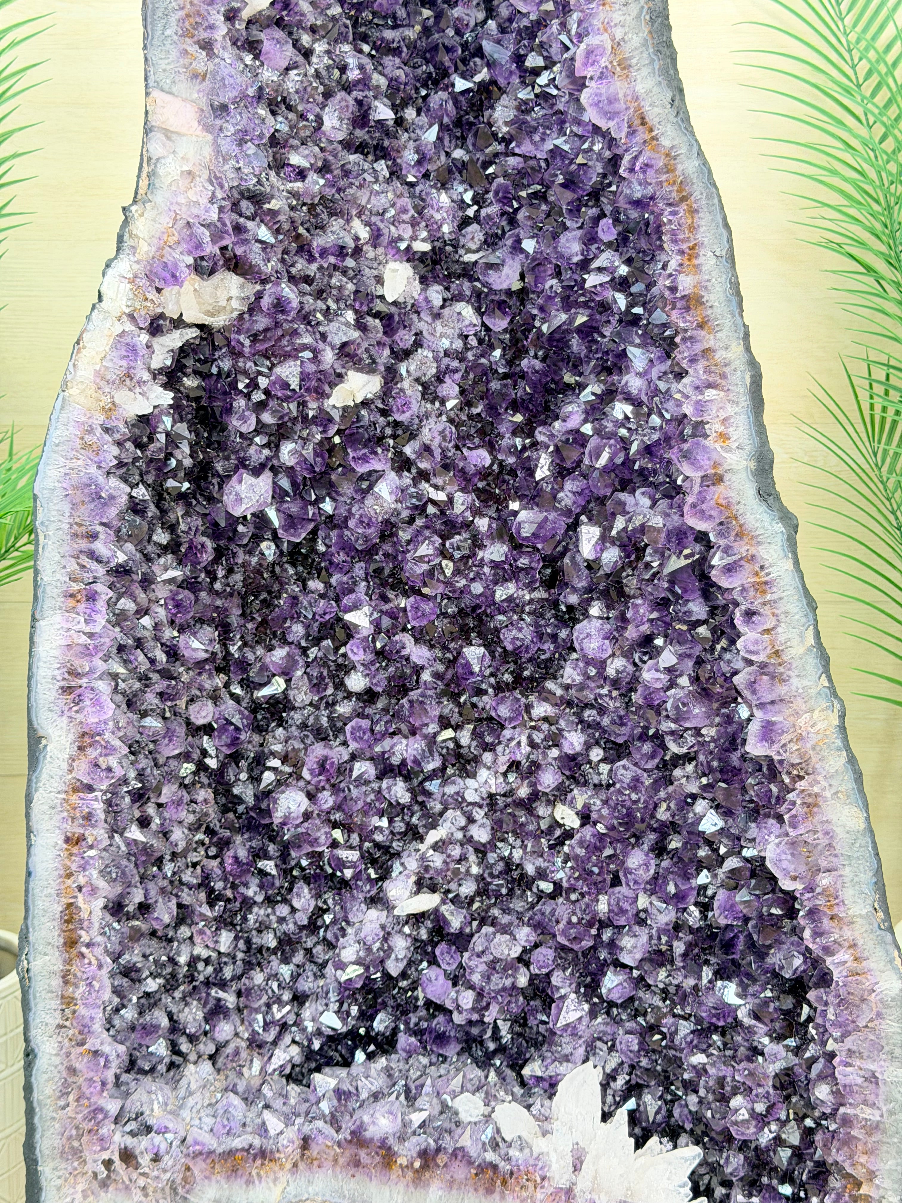 A large amethyst geode slice with dense purple crystal clusters and a natural rough outer edge, photographed flat against a pale patterned background.