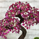 21" Tall Pink Agate Gemstone Tree w/ Amethyst base, 540 gems #5406PA-007 - Brazil GemsBrazil Gems21" Tall Pink Agate Gemstone Tree w/ Amethyst base, 540 gems #5406PA-007Gemstone Trees5406PA-007