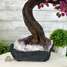 21" Tall Pink Agate Gemstone Tree w/ Amethyst base, 540 gems #5406PA-007 - Brazil GemsBrazil Gems21" Tall Pink Agate Gemstone Tree w/ Amethyst base, 540 gems #5406PA-007Gemstone Trees5406PA-007