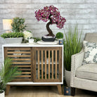 21" Tall Pink Agate Gemstone Tree w/ Amethyst base, 540 gems #5406PA-007 - Brazil GemsBrazil Gems21" Tall Pink Agate Gemstone Tree w/ Amethyst base, 540 gems #5406PA-007Gemstone Trees5406PA-007