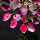 21" Tall Pink Agate Gemstone Tree w/ Amethyst base, 540 gems #5406PA-007 - Brazil GemsBrazil Gems21" Tall Pink Agate Gemstone Tree w/ Amethyst base, 540 gems #5406PA-007Gemstone Trees5406PA-007