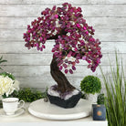 21" Tall Pink Agate Gemstone Tree w/ Amethyst base, 540 gems #5406PA-007 - Brazil GemsBrazil Gems21" Tall Pink Agate Gemstone Tree w/ Amethyst base, 540 gems #5406PA-007Gemstone Trees5406PA-007