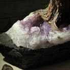 21" Tall Pink Agate Gemstone Tree w/ Amethyst base, 540 gems #5406PA-007 - Brazil GemsBrazil Gems21" Tall Pink Agate Gemstone Tree w/ Amethyst base, 540 gems #5406PA-007Gemstone Trees5406PA-007