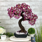 21" Tall Pink Agate Gemstone Tree w/ Amethyst base, 540 gems #5406PA-007 - Brazil GemsBrazil Gems21" Tall Pink Agate Gemstone Tree w/ Amethyst base, 540 gems #5406PA-007Gemstone Trees5406PA-007