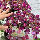 21" Tall Pink Agate Gemstone Tree w/ Amethyst base, 540 gems #5406PA-007 - Brazil GemsBrazil Gems21" Tall Pink Agate Gemstone Tree w/ Amethyst base, 540 gems #5406PA-007Gemstone Trees5406PA-007