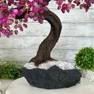 21" Tall Pink Agate Gemstone Tree w/ Amethyst base, 540 gems #5406PA-007 - Brazil GemsBrazil Gems21" Tall Pink Agate Gemstone Tree w/ Amethyst base, 540 gems #5406PA-007Gemstone Trees5406PA-007