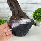 21" Tall Pink Agate Gemstone Tree w/ Amethyst base, 540 gems #5406PA-007 - Brazil GemsBrazil Gems21" Tall Pink Agate Gemstone Tree w/ Amethyst base, 540 gems #5406PA-007Gemstone Trees5406PA-007