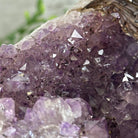 21" Tall Pink Agate Gemstone Tree w/ Amethyst base, 540 gems #5406PA-007 - Brazil GemsBrazil Gems21" Tall Pink Agate Gemstone Tree w/ Amethyst base, 540 gems #5406PA-007Gemstone Trees5406PA-007