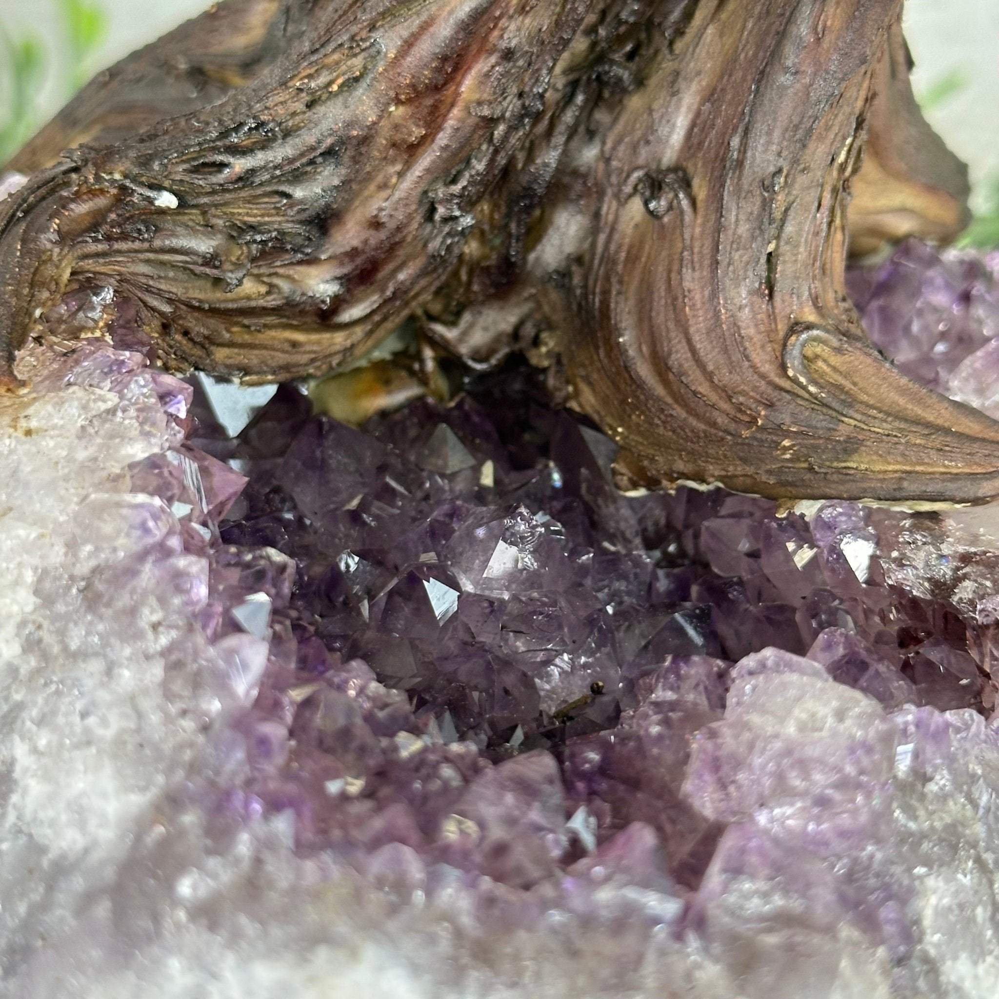 21" Tall Pink Agate Gemstone Tree w/ Amethyst base, 540 gems #5406PA-007 - Brazil GemsBrazil Gems21" Tall Pink Agate Gemstone Tree w/ Amethyst base, 540 gems #5406PA-007Gemstone Trees5406PA-007
