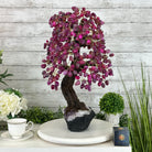 21" Tall Pink Agate Gemstone Tree w/ Amethyst base, 540 gems #5406PA-007 - Brazil GemsBrazil Gems21" Tall Pink Agate Gemstone Tree w/ Amethyst base, 540 gems #5406PA-007Gemstone Trees5406PA-007