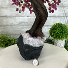 21" Tall Pink Agate Gemstone Tree w/ Amethyst base, 540 gems #5406PA-007 - Brazil GemsBrazil Gems21" Tall Pink Agate Gemstone Tree w/ Amethyst base, 540 gems #5406PA-007Gemstone Trees5406PA-007