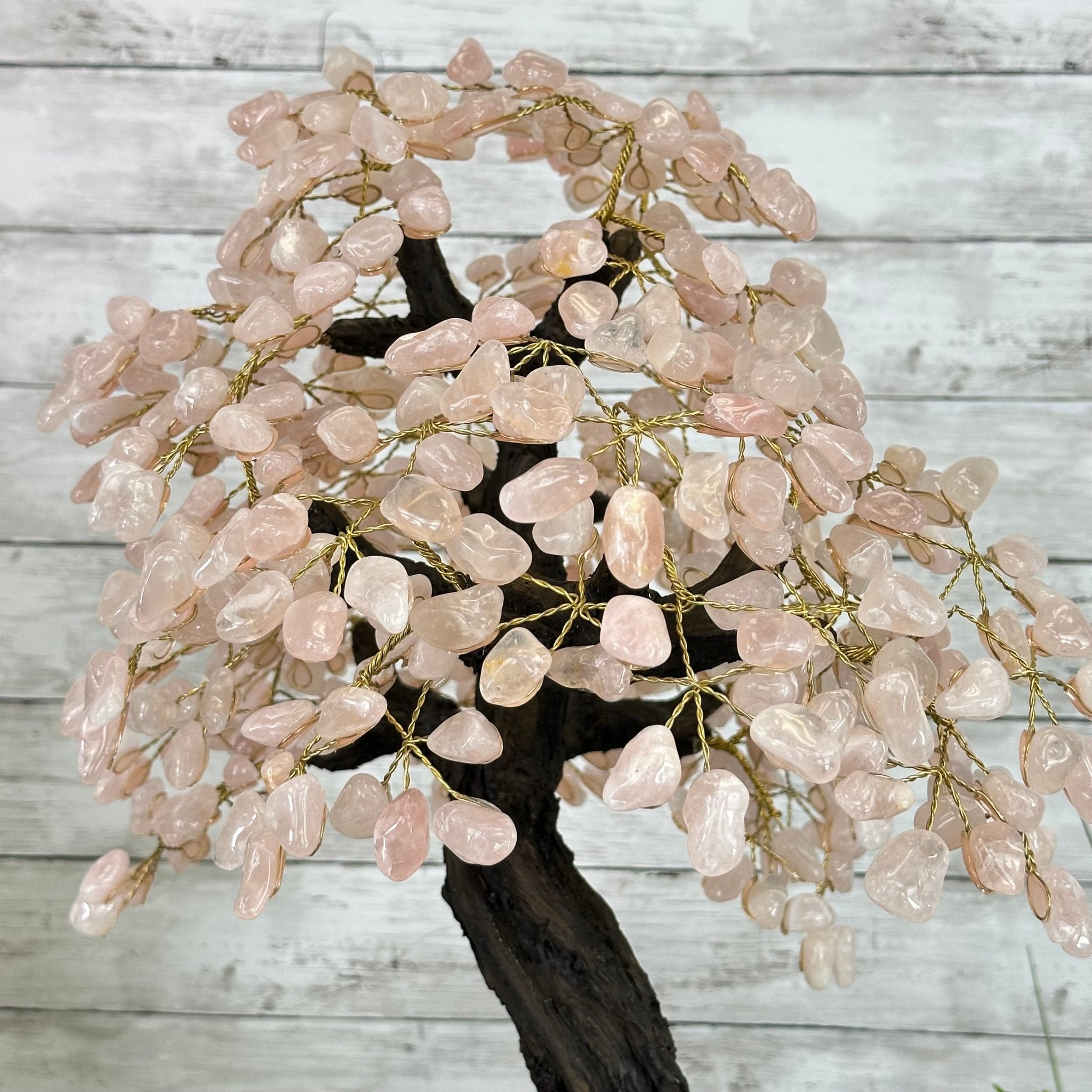 21" Tall Rose Quartz Gemstone Tree on an Amethyst base, 540 gems #5406RQ-015 - Brazil GemsBrazil Gems21" Tall Rose Quartz Gemstone Tree on an Amethyst base, 540 gems #5406RQ-015Gemstone Trees5406RQ-015