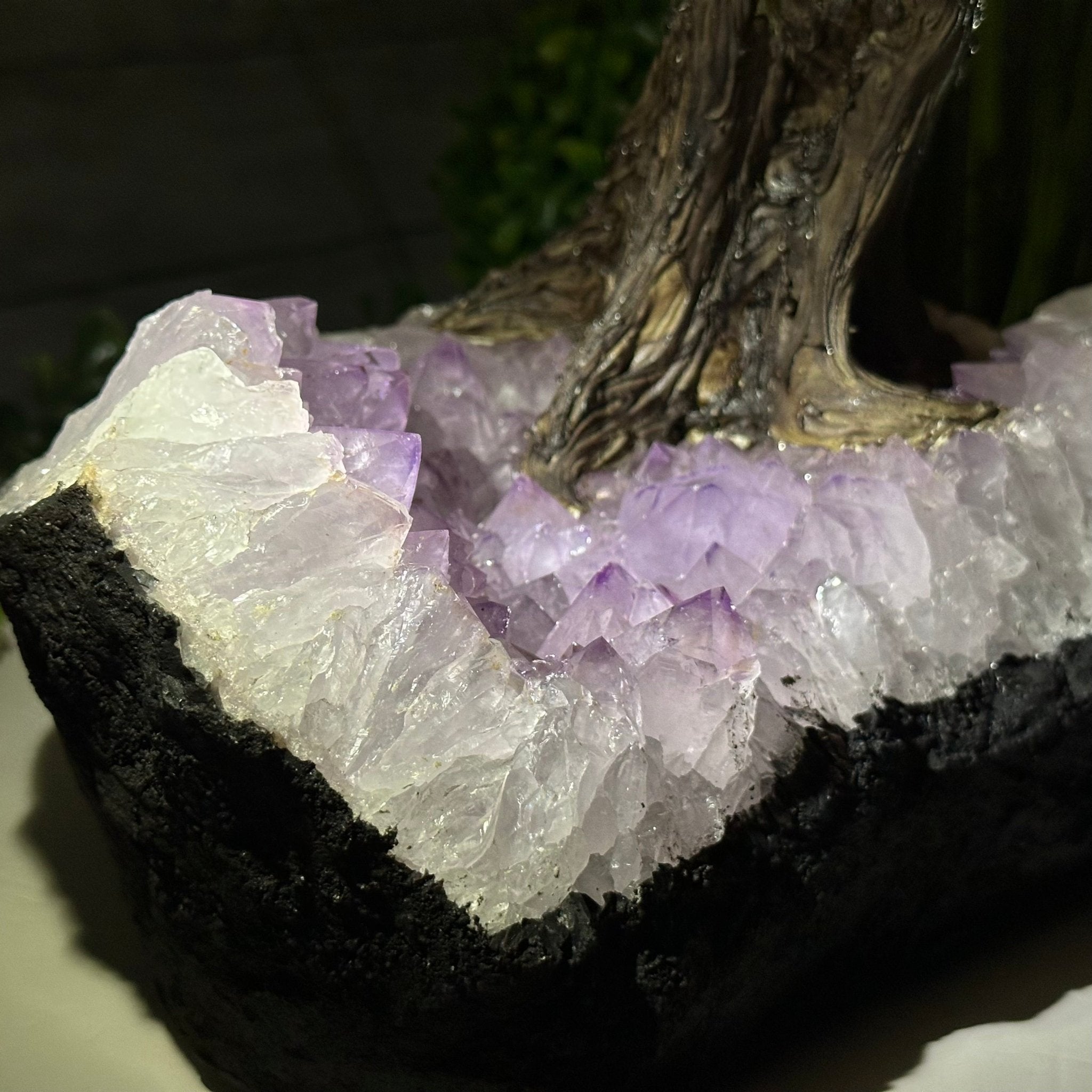 21" Tall Rose Quartz Gemstone Tree on an Amethyst base, 540 gems #5406RQ-015 - Brazil GemsBrazil Gems21" Tall Rose Quartz Gemstone Tree on an Amethyst base, 540 gems #5406RQ-015Gemstone Trees5406RQ-015