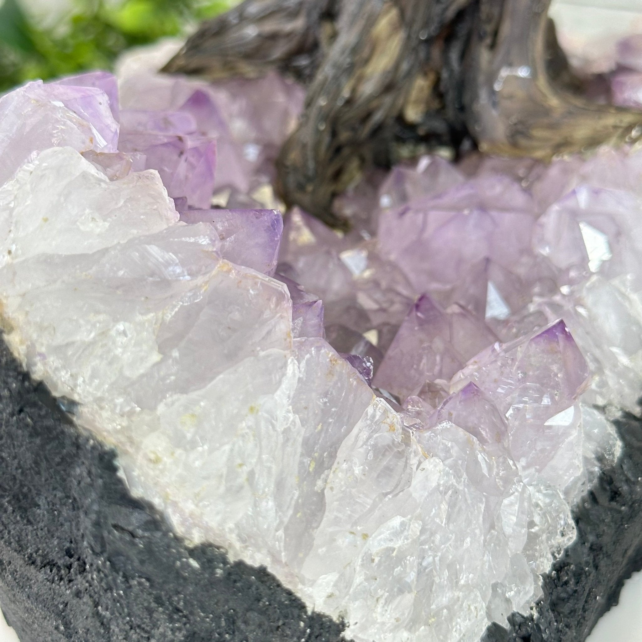 21" Tall Rose Quartz Gemstone Tree on an Amethyst base, 540 gems #5406RQ-015 - Brazil GemsBrazil Gems21" Tall Rose Quartz Gemstone Tree on an Amethyst base, 540 gems #5406RQ-015Gemstone Trees5406RQ-015