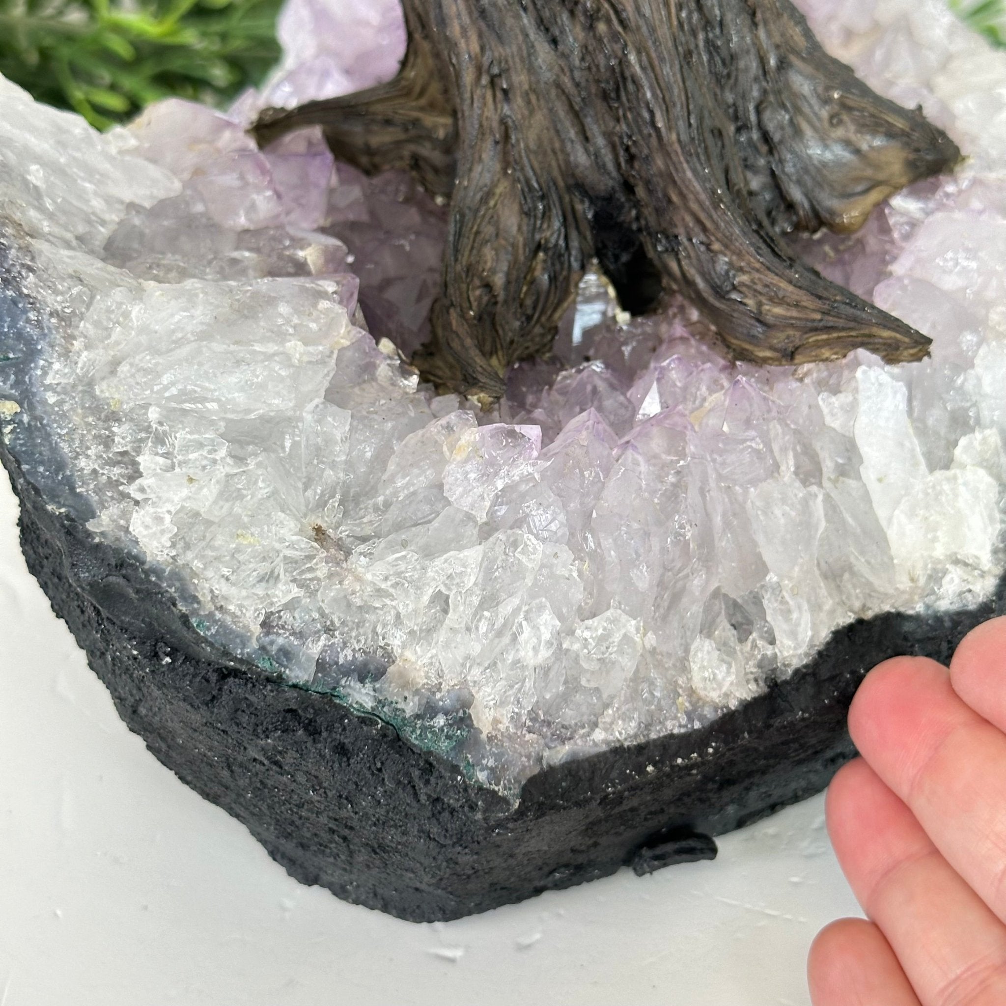 21" Tall Rose Quartz Gemstone Tree on an Amethyst base, 540 gems #5406RQ-015 - Brazil GemsBrazil Gems21" Tall Rose Quartz Gemstone Tree on an Amethyst base, 540 gems #5406RQ-015Gemstone Trees5406RQ-015