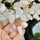 21" Tall Rose Quartz Gemstone Tree on an Amethyst base, 540 gems #5406RQ-015 - Brazil GemsBrazil Gems21" Tall Rose Quartz Gemstone Tree on an Amethyst base, 540 gems #5406RQ-015Gemstone Trees5406RQ-015