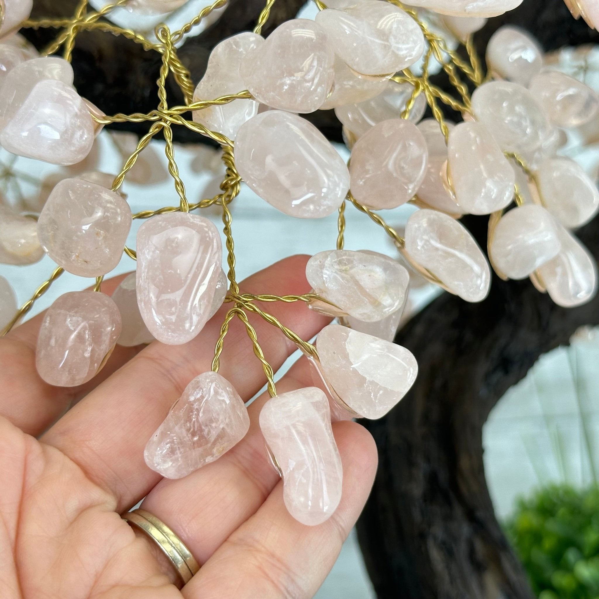 21" Tall Rose Quartz Gemstone Tree on an Amethyst base, 540 gems #5406RQ-015 - Brazil GemsBrazil Gems21" Tall Rose Quartz Gemstone Tree on an Amethyst base, 540 gems #5406RQ-015Gemstone Trees5406RQ-015