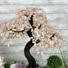 21" Tall Rose Quartz Gemstone Tree on an Amethyst base, 540 gems #5406RQ-015 - Brazil GemsBrazil Gems21" Tall Rose Quartz Gemstone Tree on an Amethyst base, 540 gems #5406RQ-015Gemstone Trees5406RQ-015
